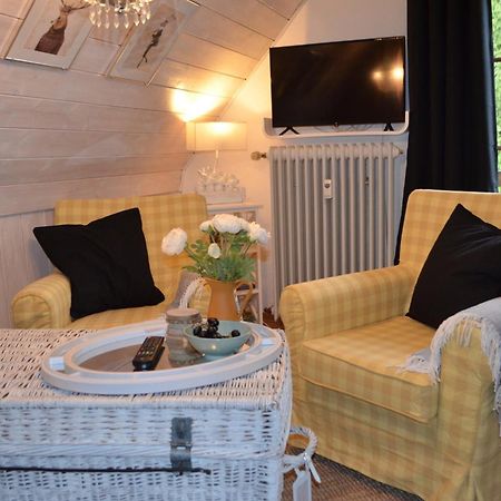 Ferienwohnung Seeblick Nr 4 2-Zimmer, Baerental, Feldberg Rotwasser المظهر الخارجي الصورة